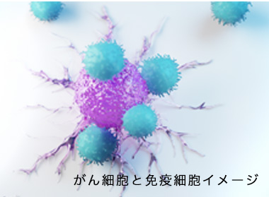 がん細胞と免疫細胞イメージ